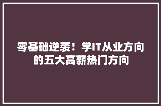 零基础逆袭！学IT从业方向的五大高薪热门方向 神马SEO