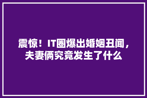 震惊！IT圈爆出婚姻丑闻，夫妻俩究竟发生了什么 搜狗SEO