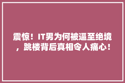 震惊！IT男为何被逼至绝境，跳楼背后真相令人痛心！ GoogleSEO