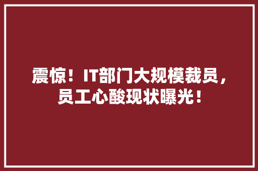 震惊！IT部门大规模裁员，员工心酸现状曝光！ 必应SEO