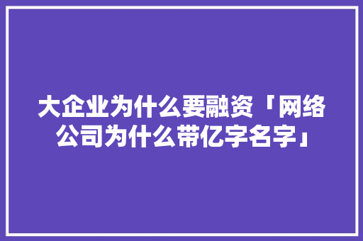 大企业为什么要融资「网络公司为什么带亿字名字」 大企业为什么要融资「网络公司为什么带亿字名字」 神马SEO