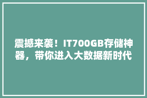 震撼来袭！IT700GB存储神器，带你进入大数据新时代！