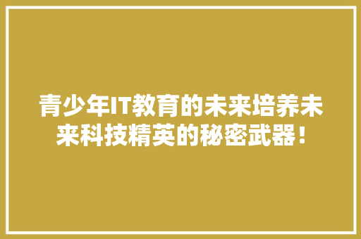 青少年IT教育的未来培养未来科技精英的秘密武器！ GoogleSEO