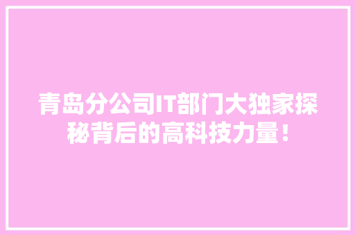青岛分公司IT部门大独家探秘背后的高科技力量！ GoogleSEO