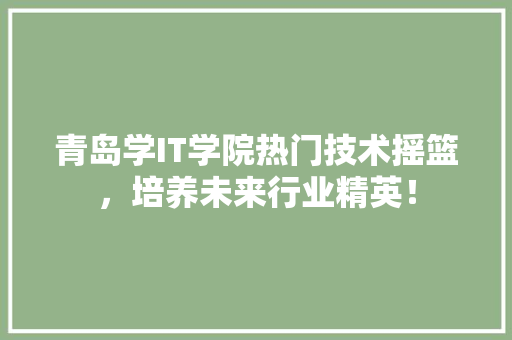 青岛学IT学院热门技术摇篮，培养未来行业精英！ 必应SEO
