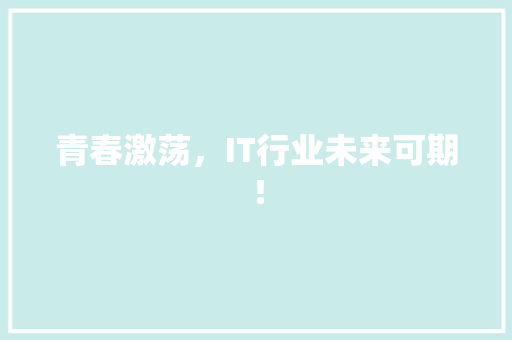 青春激荡，IT行业未来可期！ GoogleSEO