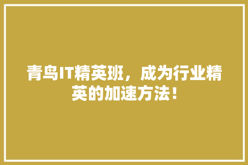 青鸟IT精英班，成为行业精英的加速方法！ 百度SEO