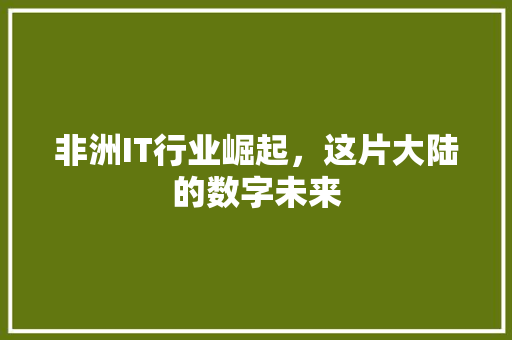 非洲IT行业崛起，这片大陆的数字未来 百度SEO
