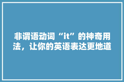 非谓语动词“it”的神奇用法，让你的英语表达更地道 百度SEO