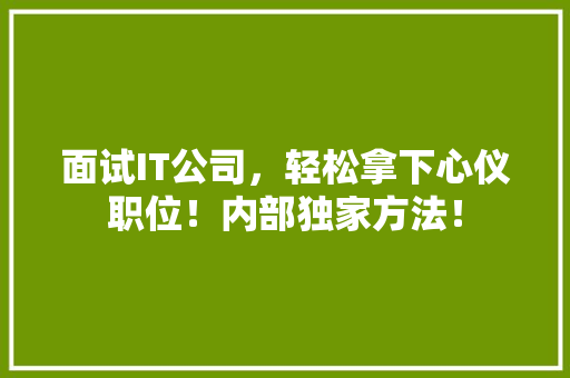 面试IT公司，轻松拿下心仪职位！内部独家方法！ GoogleSEO