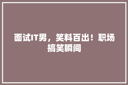 面试IT男，笑料百出！职场搞笑瞬间 必应SEO