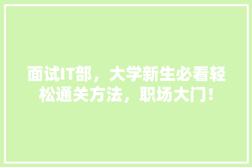 面试IT部，大学新生必看轻松通关方法，职场大门！ 必应SEO