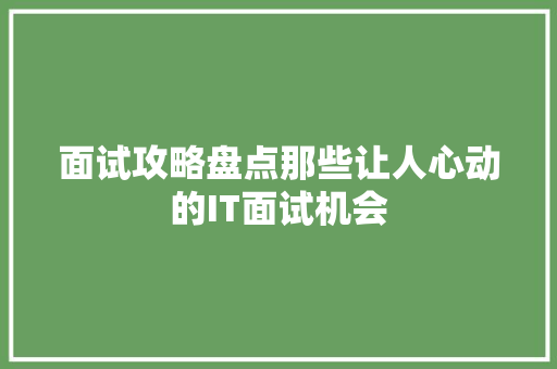 面试攻略盘点那些让人心动的IT面试机会 GoogleSEO