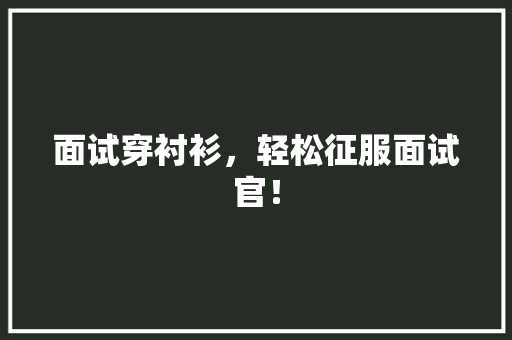 面试穿衬衫，轻松征服面试官！ GoogleSEO
