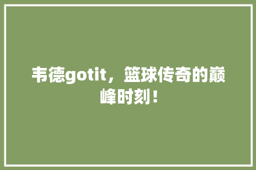 韦德gotit，篮球传奇的巅峰时刻！ 百度SEO
