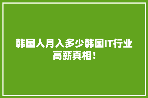 韩国人月入多少韩国IT行业高薪真相！ 神马SEO