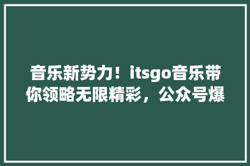 音乐新势力！itsgo音乐带你领略无限精彩，公众号爆款必看！ GoogleSEO