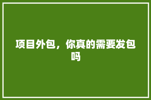 项目外包，你真的需要发包吗
