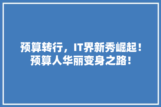 预算转行，IT界新秀崛起！预算人华丽变身之路！ 必应SEO