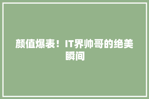颜值爆表！IT界帅哥的绝美瞬间 搜狗SEO