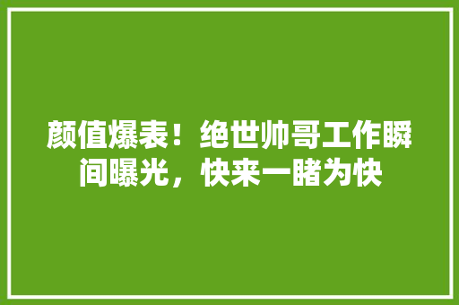 颜值爆表！绝世帅哥工作瞬间曝光，快来一睹为快 神马SEO