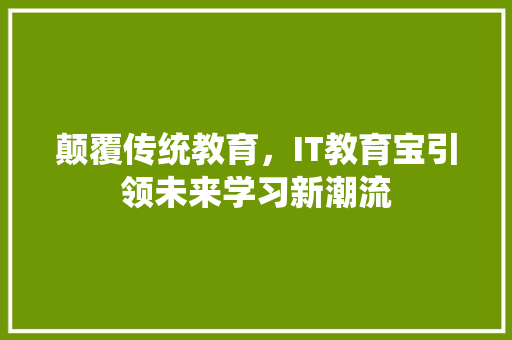 颠覆传统教育，IT教育宝引领未来学习新潮流 必应SEO