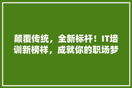 颠覆传统，全新标杆！IT培训新榜样，成就你的职场梦想 神马SEO
