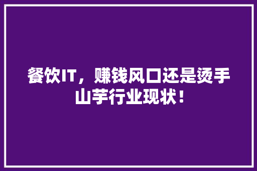 餐饮IT，赚钱风口还是烫手山芋行业现状！ 百度SEO