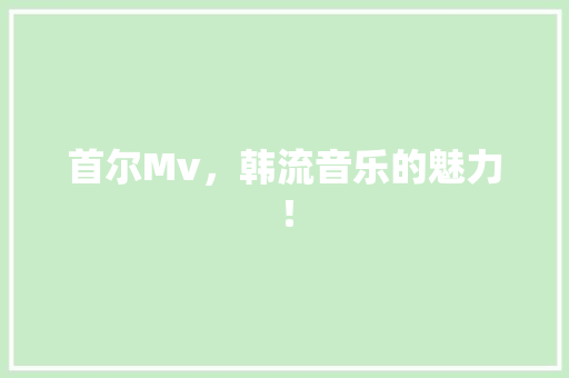 首尔Mv，韩流音乐的魅力！ 必应SEO