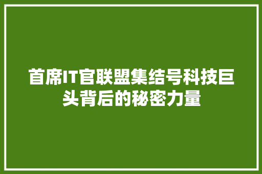 首席IT官联盟集结号科技巨头背后的秘密力量 百度SEO