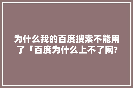 为什么我的百度搜索不能用了「百度为什么上不了网?」 为什么我的百度搜索不能用了「百度为什么上不了网?」 GoogleSEO