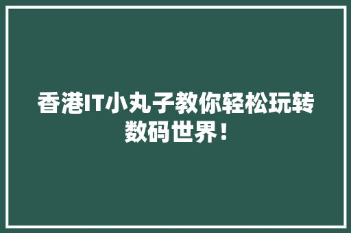 香港IT小丸子教你轻松玩转数码世界！ 必应SEO