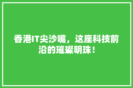 香港IT尖沙嘴，这座科技前沿的璀璨明珠！ 百度SEO