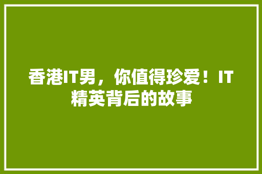 香港IT男，你值得珍爱！IT精英背后的故事 GoogleSEO