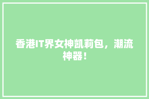 香港IT界女神凯莉包，潮流神器！ 必应SEO