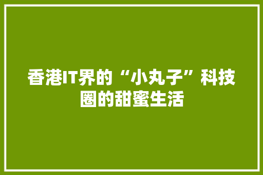 香港IT界的“小丸子”科技圈的甜蜜生活 搜狗SEO