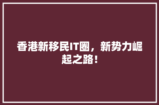 香港新移民IT圈，新势力崛起之路！ 神马SEO