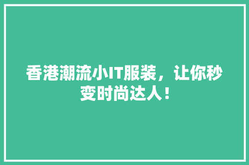香港潮流小IT服装，让你秒变时尚达人！ GoogleSEO