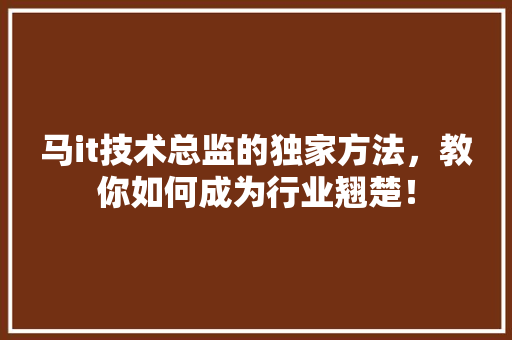 马it技术总监的独家方法，教你如何成为行业翘楚！ GoogleSEO