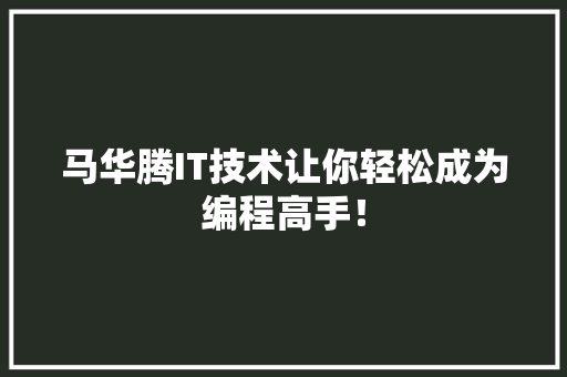 马华腾IT技术让你轻松成为编程高手！ GoogleSEO