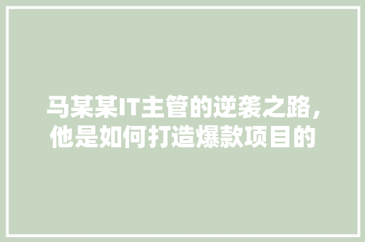 马某某IT主管的逆袭之路，他是如何打造爆款项目的 百度SEO