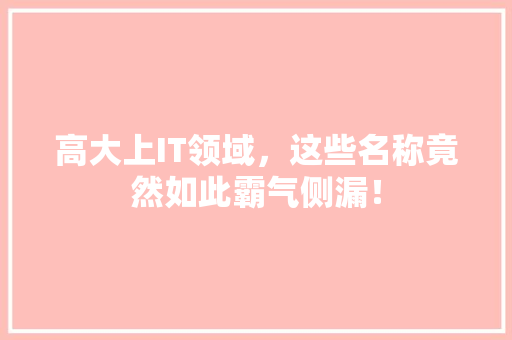 高大上IT领域，这些名称竟然如此霸气侧漏！ 必应SEO