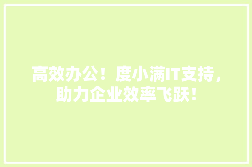 高效办公！度小满IT支持，助力企业效率飞跃！ 必应SEO