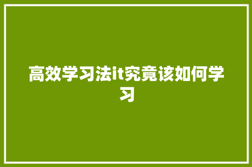 高效学习法it究竟该如何学习 GoogleSEO