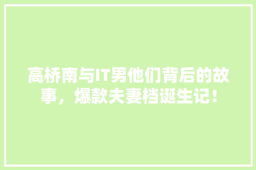 高桥南与IT男他们背后的故事，爆款夫妻档诞生记！ 百度SEO