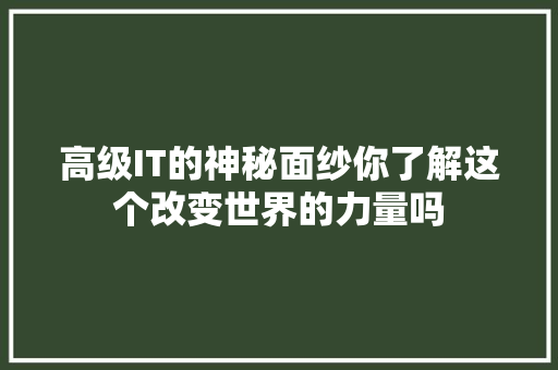 高级IT的神秘面纱你了解这个改变世界的力量吗 神马SEO