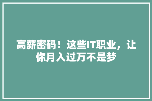 高薪密码！这些IT职业，让你月入过万不是梦 神马SEO