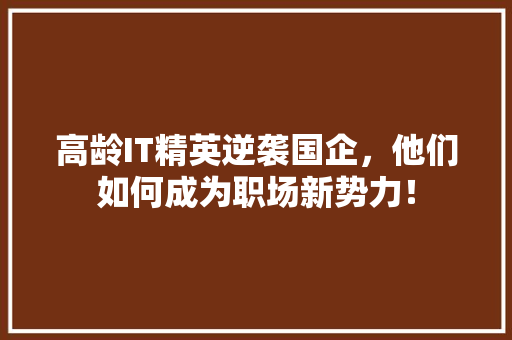 高龄IT精英逆袭国企，他们如何成为职场新势力！ 必应SEO