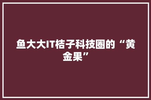 鱼大大IT桔子科技圈的“黄金果” 必应SEO