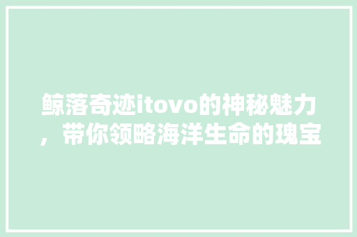 鲸落奇迹itovo的神秘魅力，带你领略海洋生命的瑰宝！ 搜狗SEO